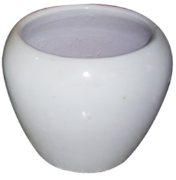 SP-CI073